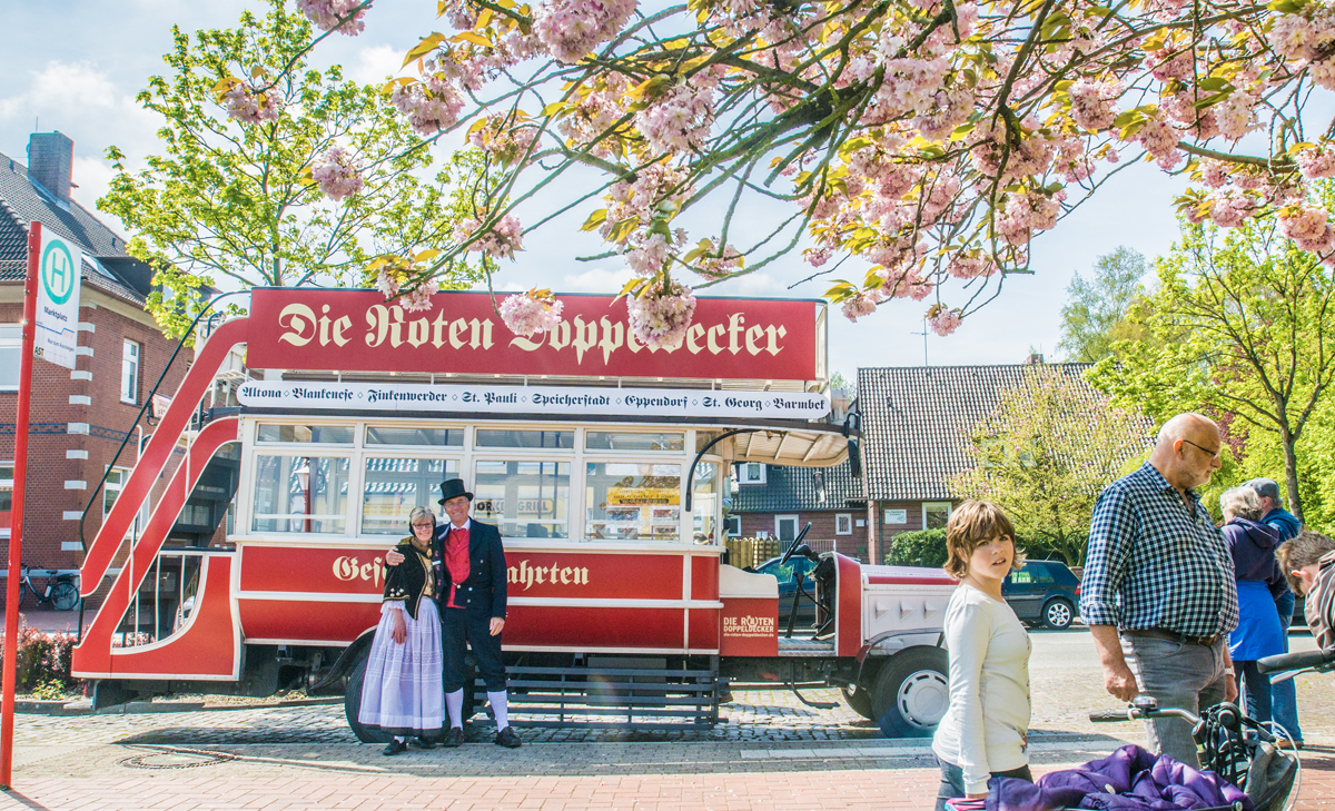 Hummelbus_blüten